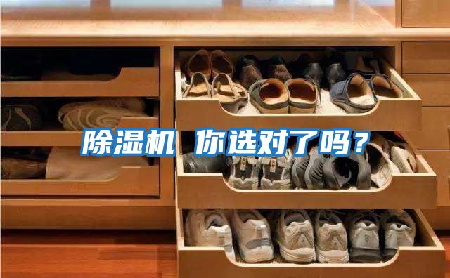 除濕機 你選對了嗎？