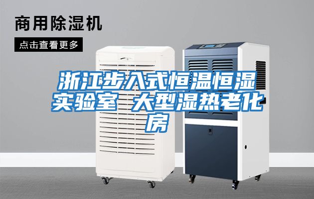 浙江步入式恒溫恒濕實(shí)驗室 大型濕熱老化房