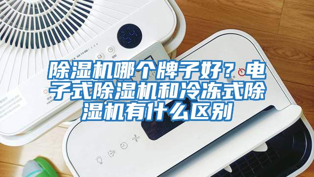除濕機哪個(gè)牌子好？電子式除濕機和冷凍式除濕機有什么區別