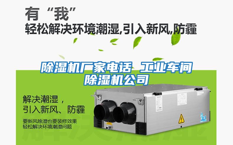 除濕機廠(chǎng)家電話(huà) 工業(yè)車(chē)間除濕機公司