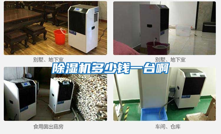 除濕機多少錢(qián)一臺啊