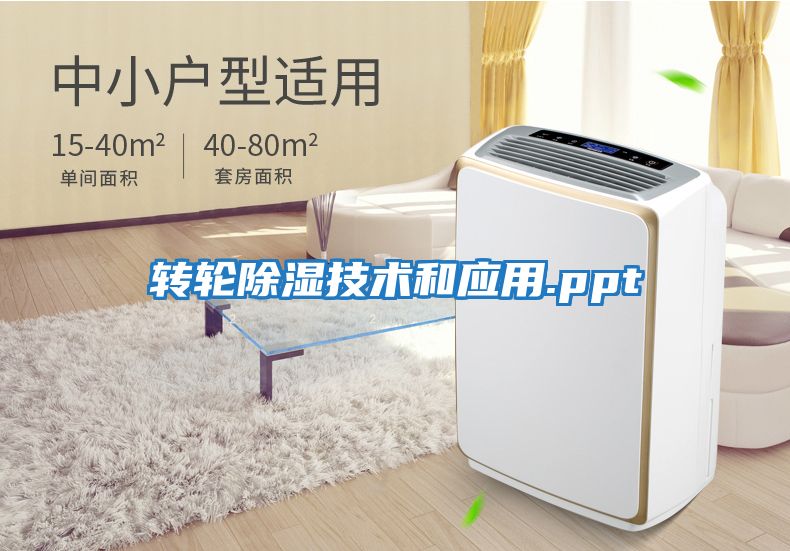 轉輪除濕技術(shù)和應用.ppt