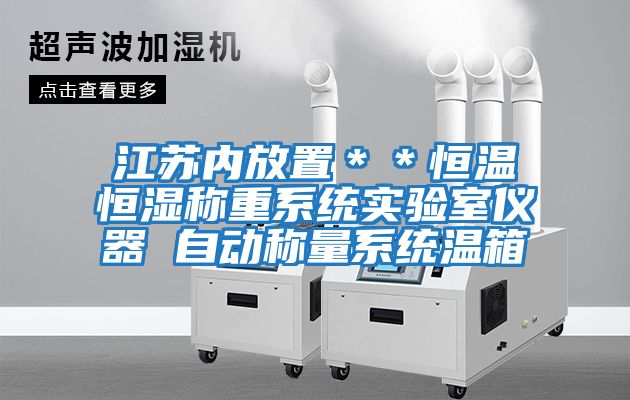 江蘇內放置＊＊恒溫恒濕稱(chēng)重系統實(shí)驗室儀器 自動(dòng)稱(chēng)量系統溫箱