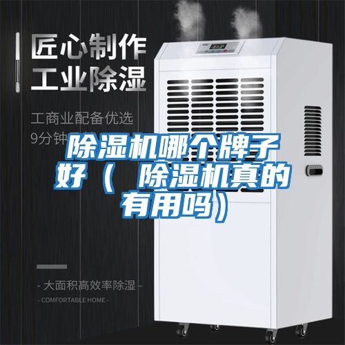 除濕機哪個(gè)牌子好（ 除濕機真的有用嗎）