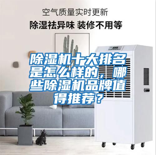除濕機十大排名是怎么樣的，哪些除濕機品牌值得推薦？