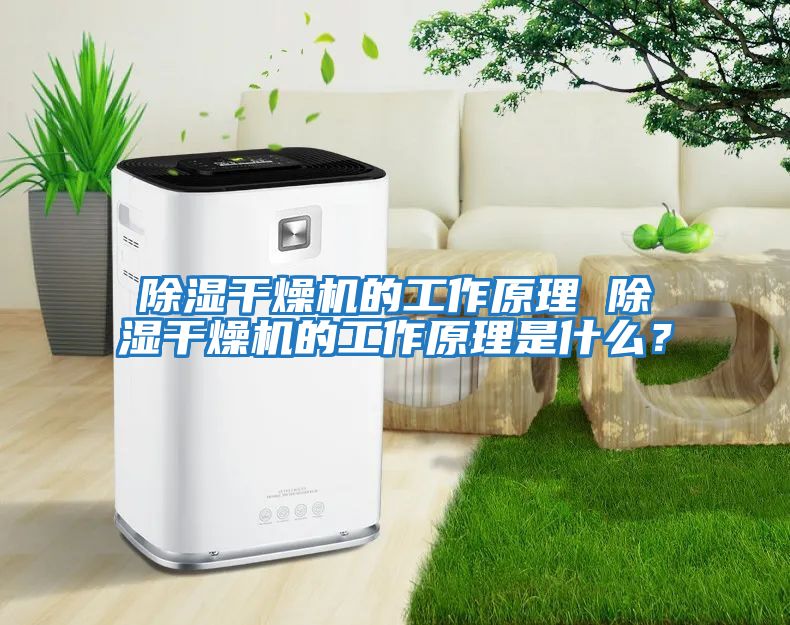 除濕干燥機的工作原理 除濕干燥機的工作原理是什么？