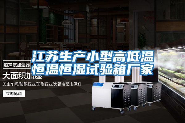 江蘇生產(chǎn)小型高低溫恒溫恒濕試驗箱廠(chǎng)家