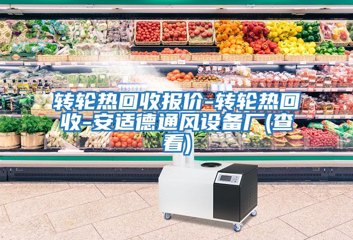 轉輪熱回收報價(jià)-轉輪熱回收-安適德通風(fēng)設備廠(chǎng)(查看)