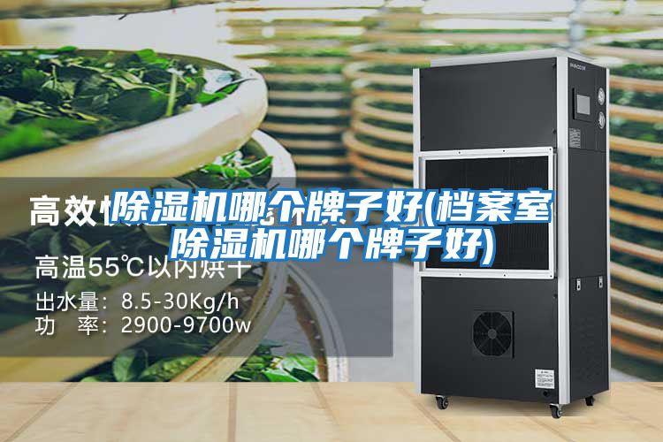 除濕機哪個(gè)牌子好(檔案室除濕機哪個(gè)牌子好)