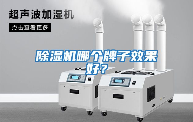 除濕機哪個(gè)牌子效果好？