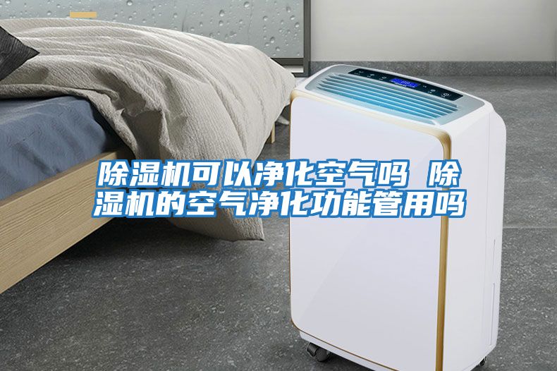 除濕機可以?xún)艋諝鈫?除濕機的空氣凈化功能管用嗎