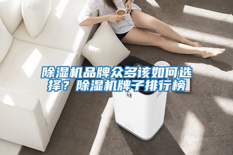 除濕機品牌眾多該如何選擇？除濕機牌子排行榜
