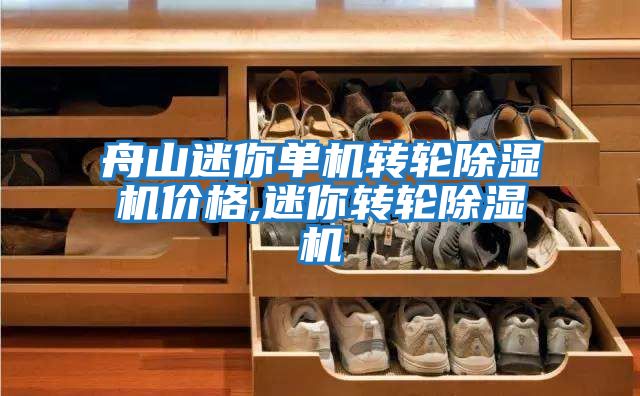 舟山迷你單機轉輪除濕機價(jià)格,迷你轉輪除濕機