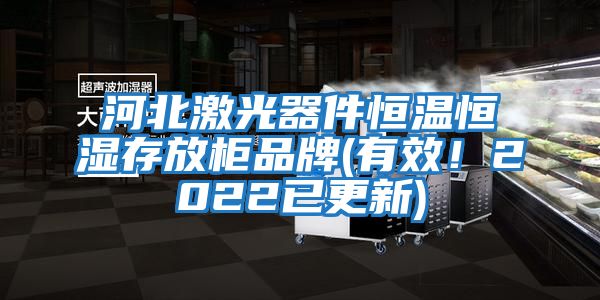 河北激光器件恒溫恒濕存放柜品牌(有效！2022已更新)