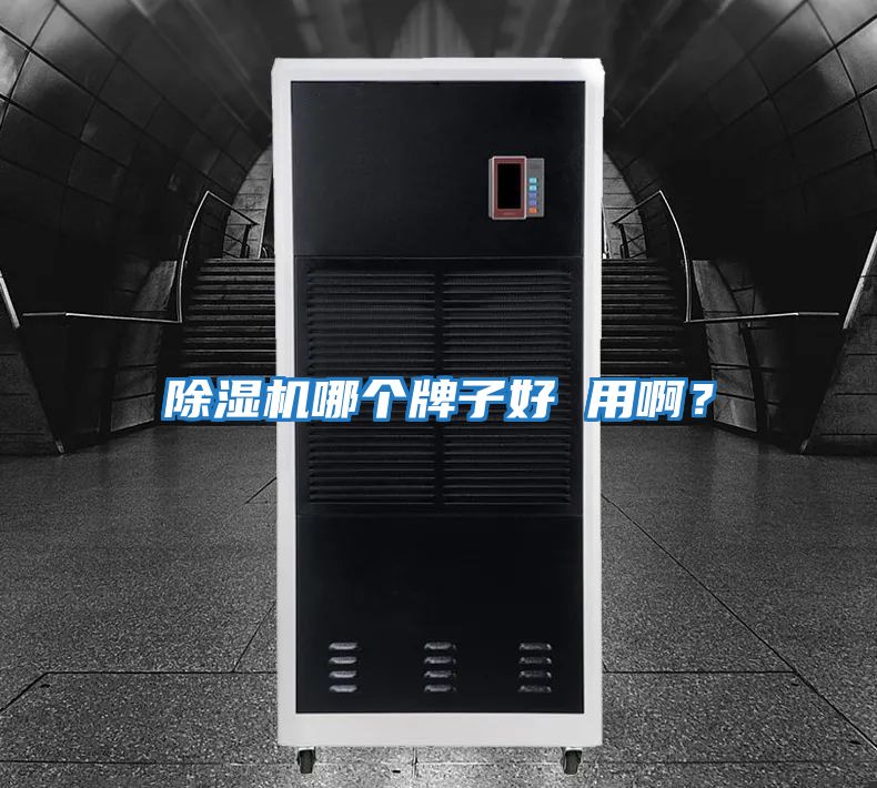 除濕機哪個(gè)牌子好 用??？