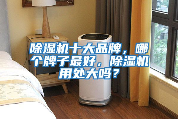 除濕機十大品牌，哪個(gè)牌子最好，除濕機用處大嗎？