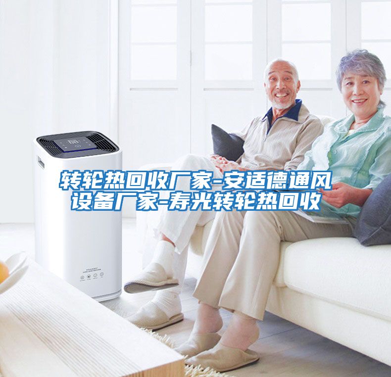 轉輪熱回收廠(chǎng)家-安適德通風(fēng)設備廠(chǎng)家-壽光轉輪熱回收