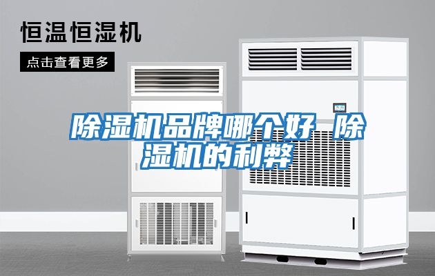 除濕機品牌哪個(gè)好 除濕機的利弊
