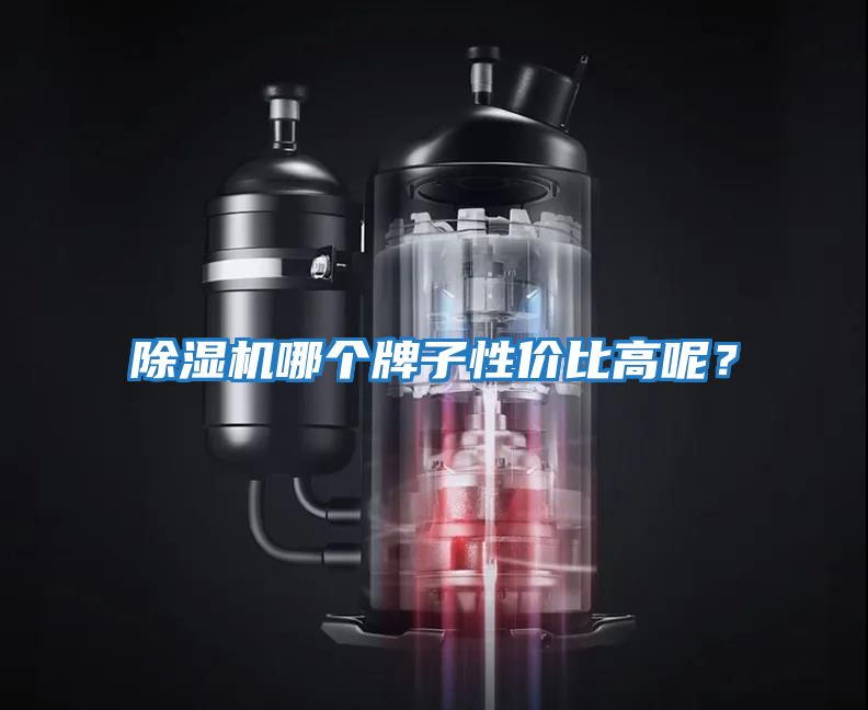 除濕機哪個(gè)牌子性?xún)r(jià)比高呢？