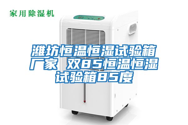濰坊恒溫恒濕試驗箱廠(chǎng)家 雙85恒溫恒濕試驗箱85度
