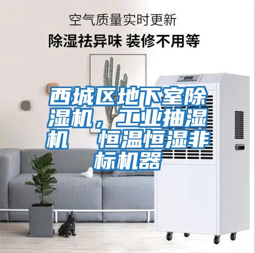 西城區地下室除濕機，工業(yè)抽濕機  恒溫恒濕非標機器