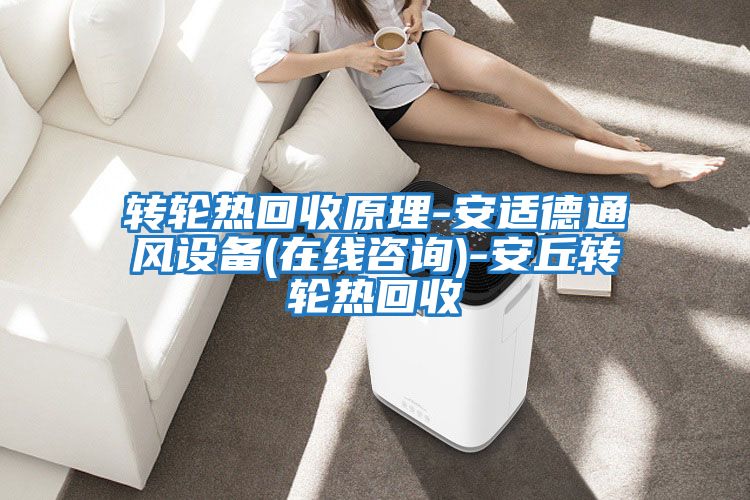 轉輪熱回收原理-安適德通風(fēng)設備(在線(xiàn)咨詢(xún))-安丘轉輪熱回收