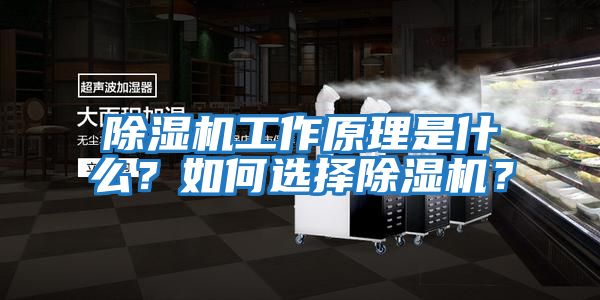 除濕機工作原理是什么？如何選擇除濕機？