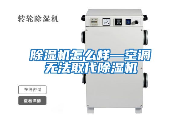 除濕機怎么樣—空調無(wú)法取代除濕機