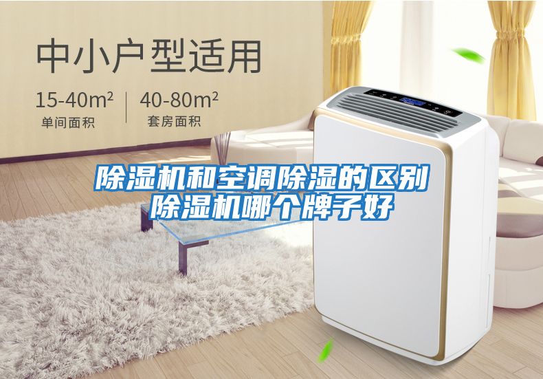 除濕機和空調除濕的區別 除濕機哪個(gè)牌子好