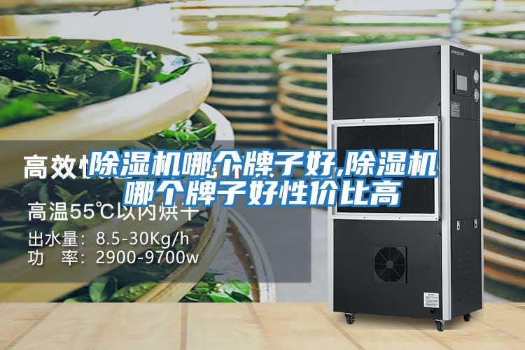 除濕機哪個(gè)牌子好,除濕機哪個(gè)牌子好性?xún)r(jià)比高