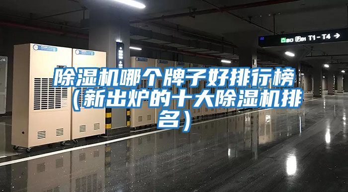 除濕機哪個(gè)牌子好排行榜（新出爐的十大除濕機排名）