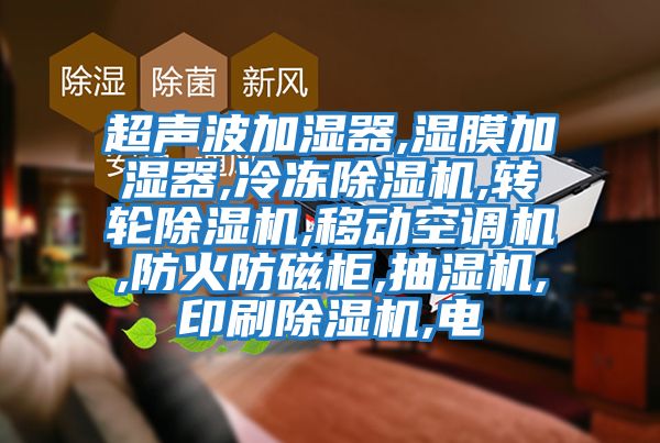 超聲波加濕器,濕膜加濕器,冷凍除濕機,轉輪除濕機,移動(dòng)空調機,防火防磁柜,抽濕機,印刷除濕機,電