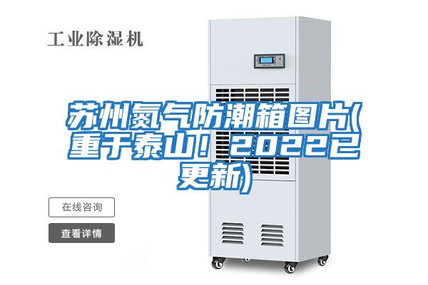 蘇州氮氣防潮箱圖片(重于泰山！2022已更新)