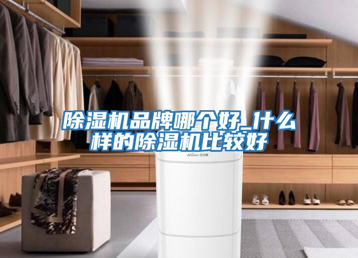 除濕機品牌哪個(gè)好_什么樣的除濕機比較好