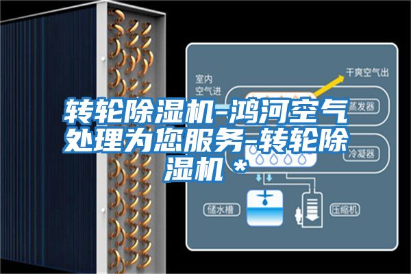 轉輪除濕機-鴻河空氣處理為您服務(wù)-轉輪除濕機＊