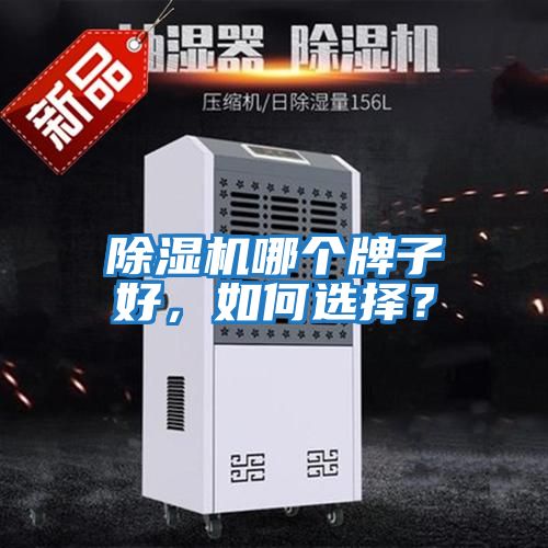 除濕機哪個(gè)牌子好，如何選擇？