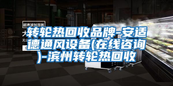 轉輪熱回收品牌-安適德通風(fēng)設備(在線(xiàn)咨詢(xún))-濱州轉輪熱回收