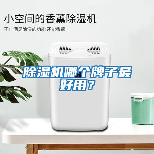 除濕機哪個(gè)牌子最好用？