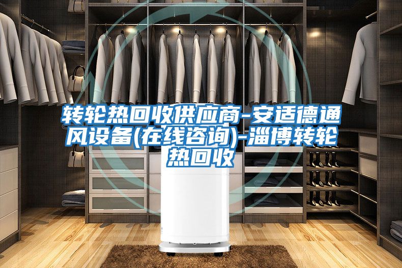 轉輪熱回收供應商-安適德通風(fēng)設備(在線(xiàn)咨詢(xún))-淄博轉輪熱回收