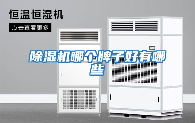 除濕機哪個(gè)牌子好有哪些