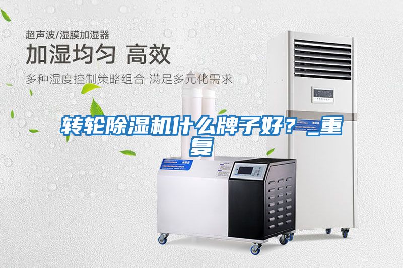 轉輪除濕機什么牌子好？_重復