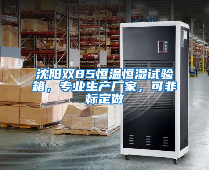 沈陽(yáng)雙85恒溫恒濕試驗箱，專(zhuān)業(yè)生產(chǎn)廠(chǎng)家，可非標定做