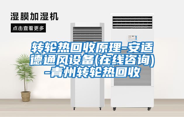轉輪熱回收原理-安適德通風(fēng)設備(在線(xiàn)咨詢(xún))-青州轉輪熱回收