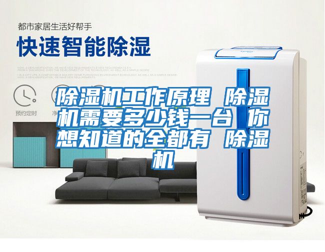 除濕機工作原理 除濕機需要多少錢(qián)一臺 你想知道的全都有 除濕機