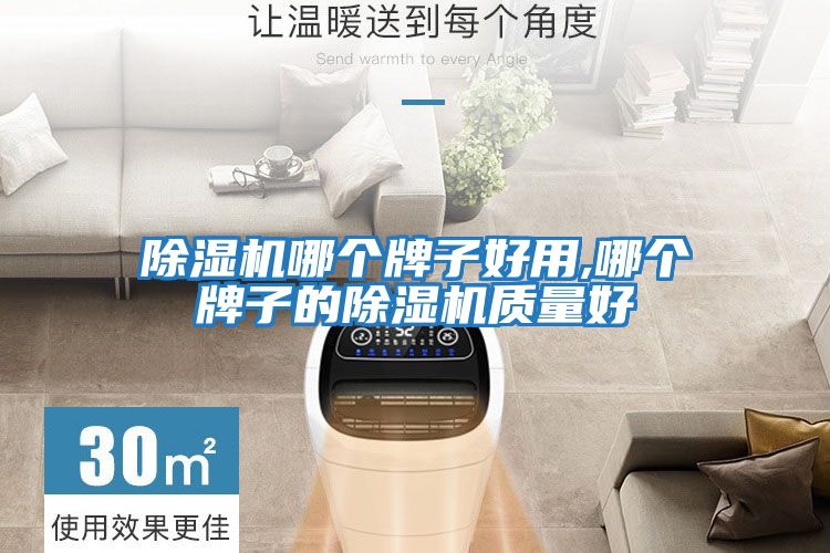 除濕機哪個(gè)牌子好用,哪個(gè)牌子的除濕機質(zhì)量好