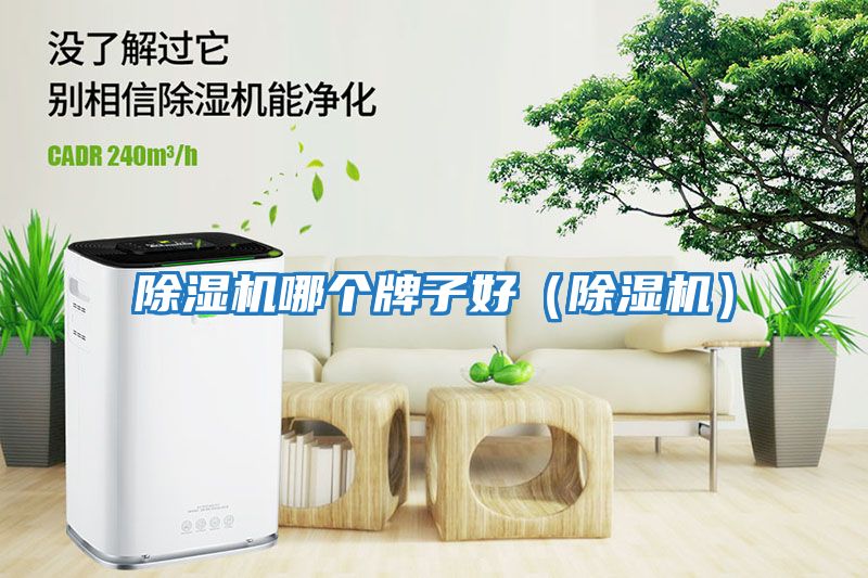 除濕機哪個(gè)牌子好（除濕機）