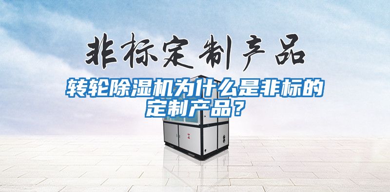 轉輪除濕機為什么是非標的定制產(chǎn)品？