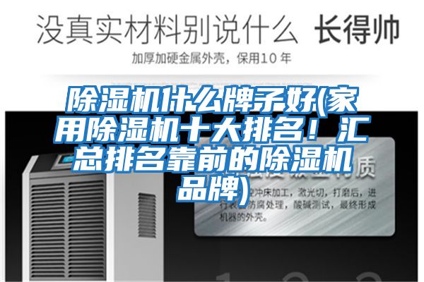 除濕機什么牌子好(家用除濕機十大排名！匯總排名靠前的除濕機品牌)