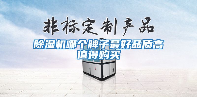 除濕機哪個(gè)牌子最好品質(zhì)高值得購買(mǎi)