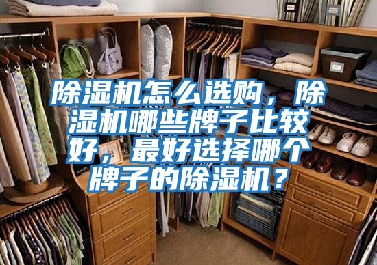 除濕機怎么選購，除濕機哪些牌子比較好，最好選擇哪個(gè)牌子的除濕機？